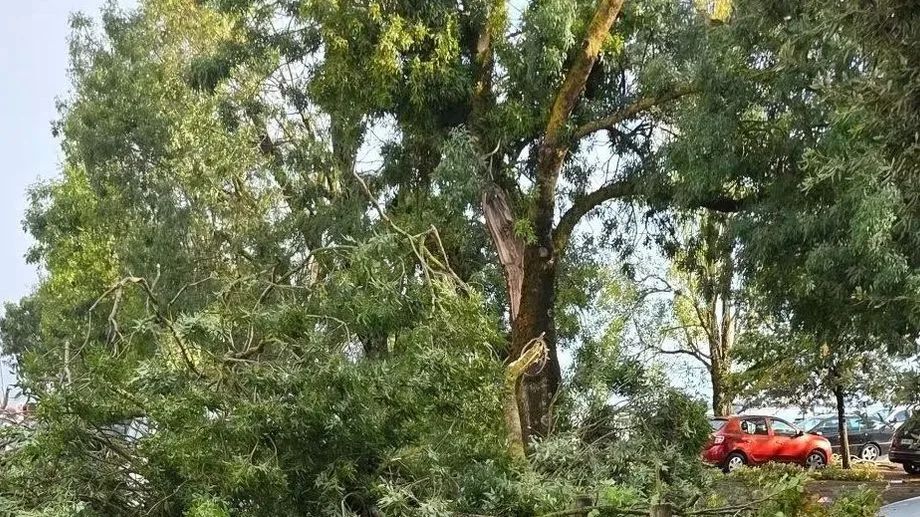 "J'ai vu les toitures des maisons s'envoler" : près de 200 interventions en Charente-Maritime après les orages