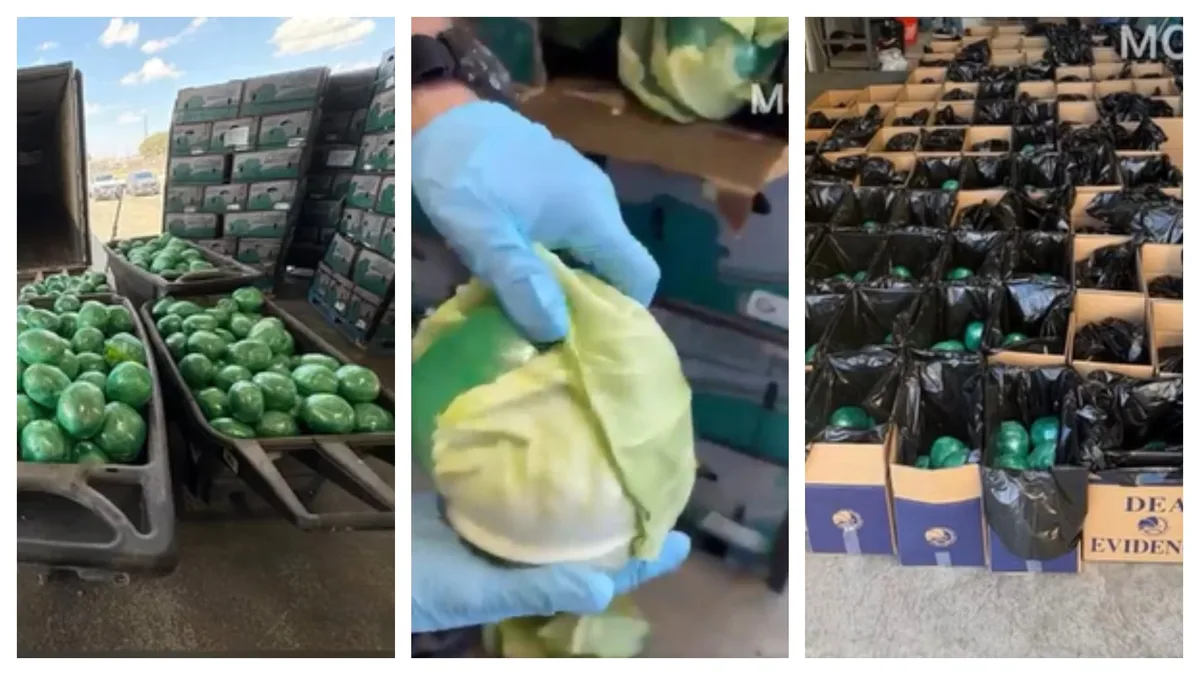 Coles rellenas: incautan metanfetamina en cargamento de verduras enviadas desde México a Texas