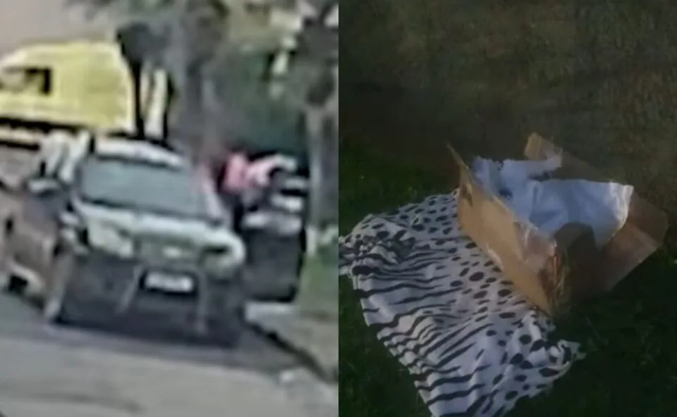 Mistério! Cachorro morto é deixado dentro de caixa em frente a casa e câmeras registram ação em Curitiba