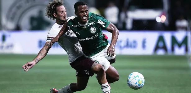 Palmeiras volta a vencer ou Flamengo se aproxima. Informações e palpites