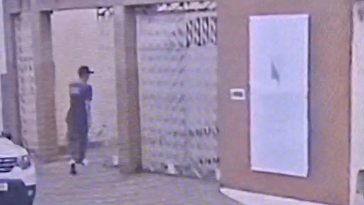 Homem invade casa com portão aberto durante entrega e tenta estuprar mulher em MG; vídeo