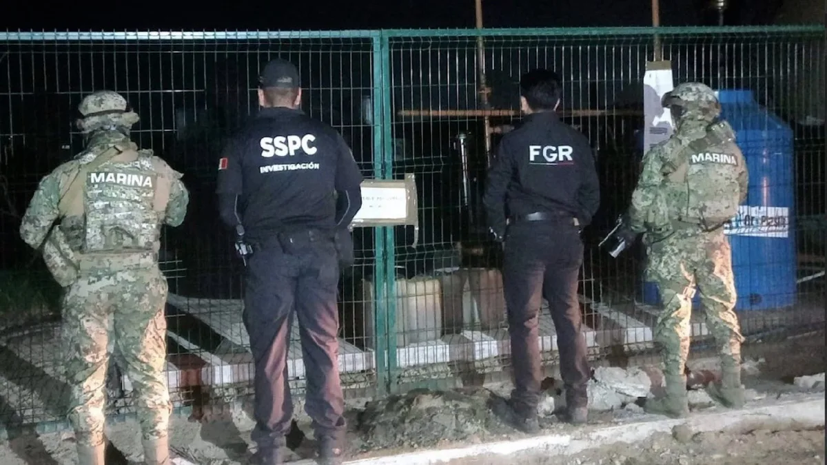 Dónde operan Los Rojos, facción del Cartel del Golfo intervenida por el decomiso de 135 animales exóticos
