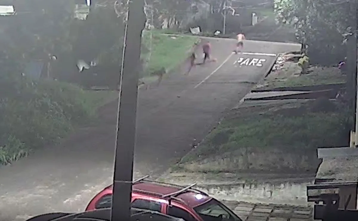 Foragido por matar homem a facadas em Curitiba tentou fugir pelo telhado ao ser preso em Manaus; briga começou por causa do filho