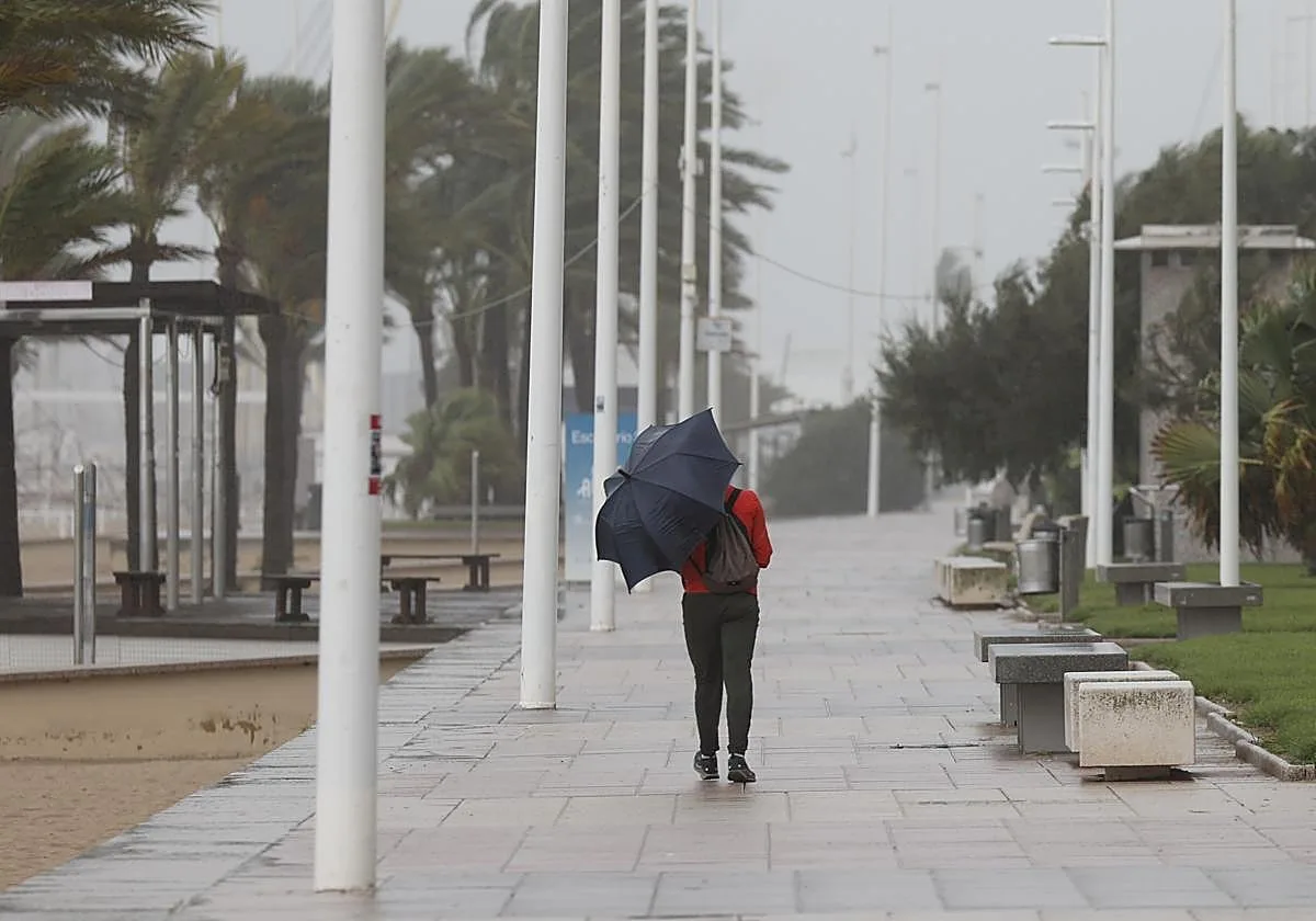 Temporal de lluvias y tormentas en Comunidad Valenciana, Cataluña, Baleares y resto de España por la dana Adam, en directo: avisos rojos de la Aemet y última hora hoy