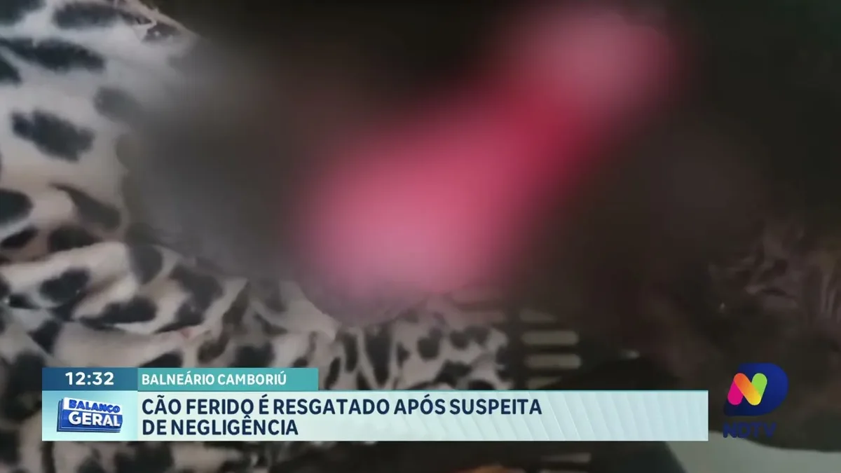 Giro policial: cão ferido é resgatado e homem é detido em Itajaí