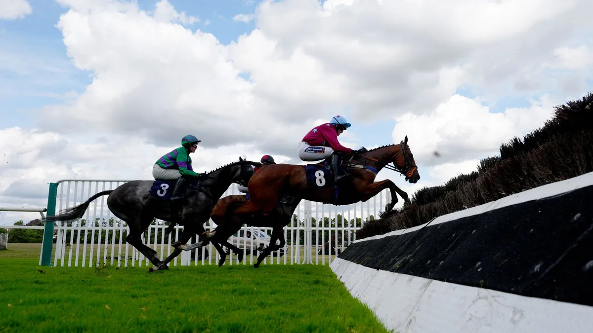 Potters Charm makes his chasing debut at Worcester