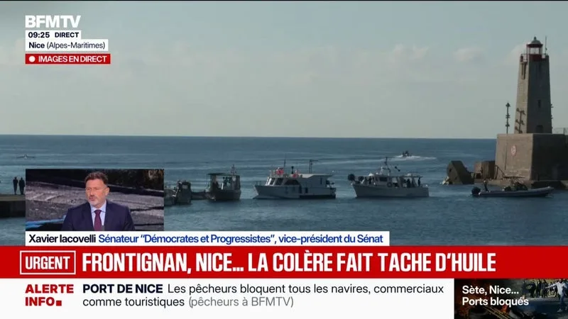 Mobilisation des pêcheurs: "La colère est légitime", estime Xavier Iacovelli, sénateur Démocrates et Progressistes
