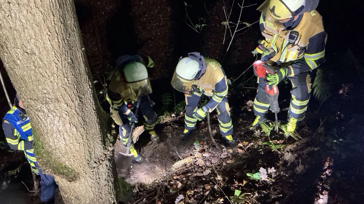 Leine an Wurzel verfangen: Feuerwehr rettet Hund aus zwei Meter tiefem Fuchsbau