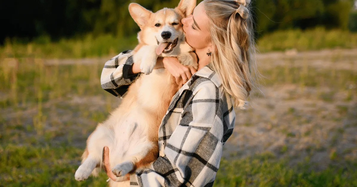 Encostar o focinho na mão e colocar a pata sobre o tutor: veja 6 sinais de que o cachorro quer carinho