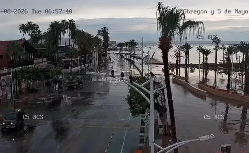 Tormenta eléctrica con fuertes vientos afecta a BCS; deja embarcaciones varadas, árboles y postes caídos