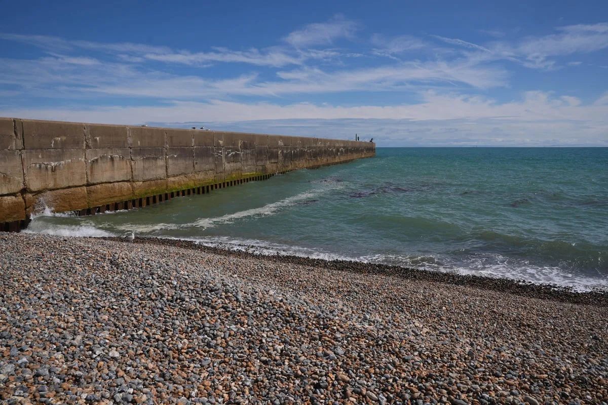 Father, mother and daughter who died after entering water off Sussex named