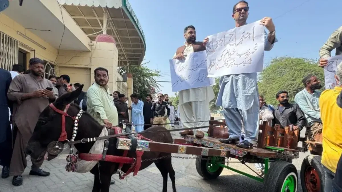 'Can't afford petrol': Pakistan PTI workers ride donkey carts to assembly in protest