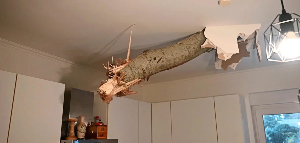 Tornado verwüstet Stadt in Brandenburg – Baum durchschlägt Küchendecke
