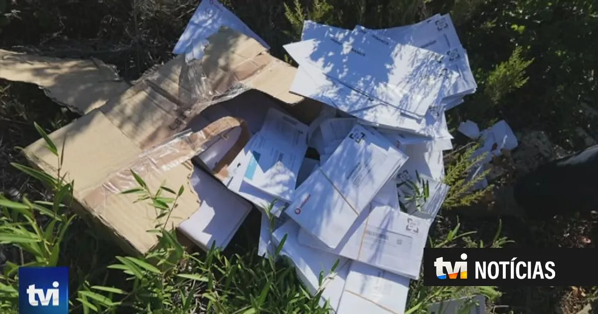 Peregrinos a caminho de Fátima encontram milhares de cartas de bancos e seguradoras atiradas ao mato