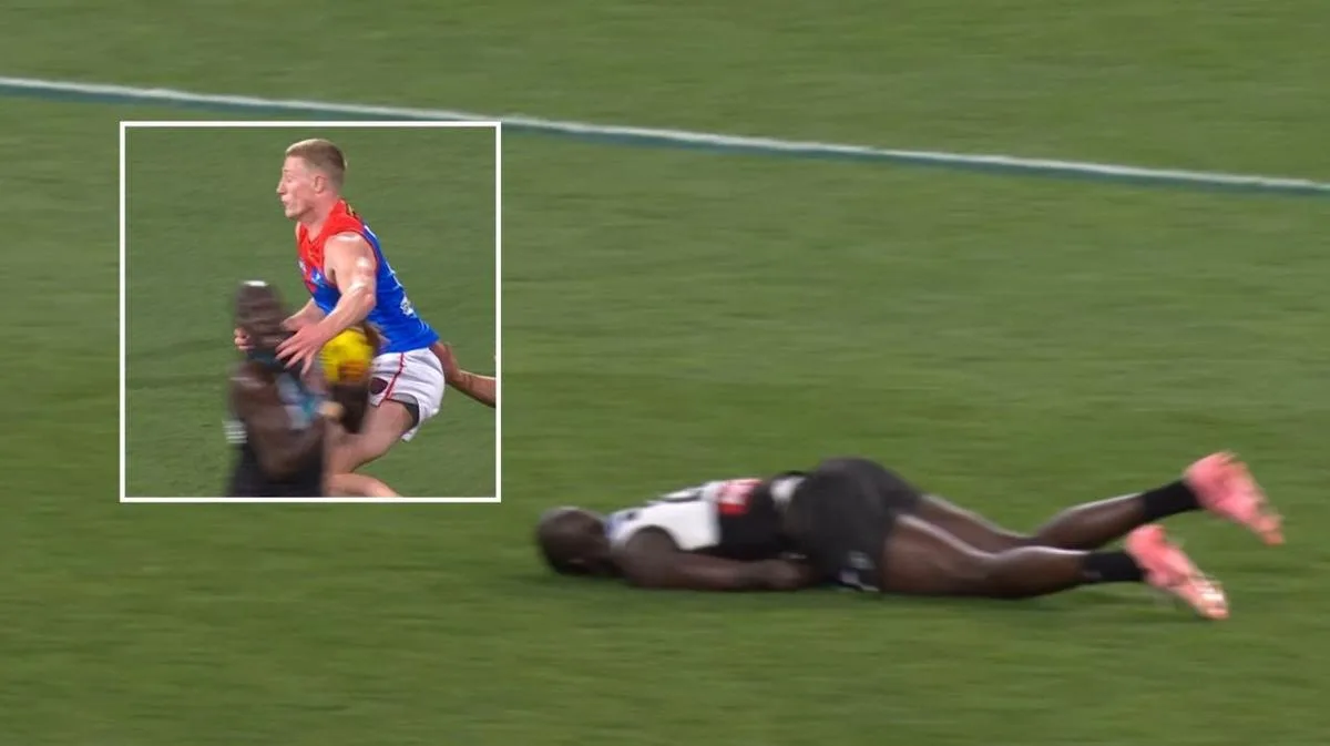 Melbourne forward Jacob van Rooyen hit with three-match suspension for banned for high hit on Aliir Aliir