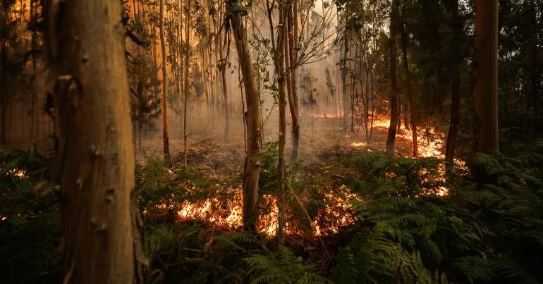 Incêndio em Penacova dado como dominado