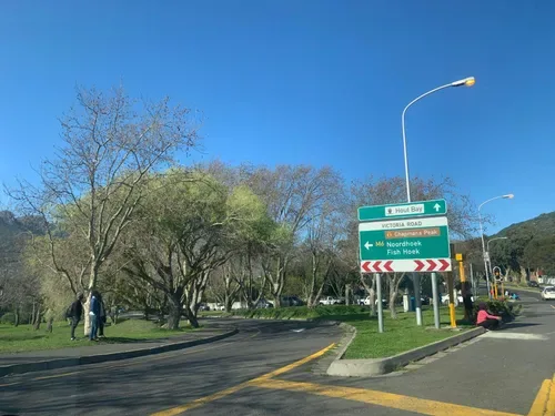 Hout Bay roadside flower sellers face scrutiny over alleged illegal harvesting