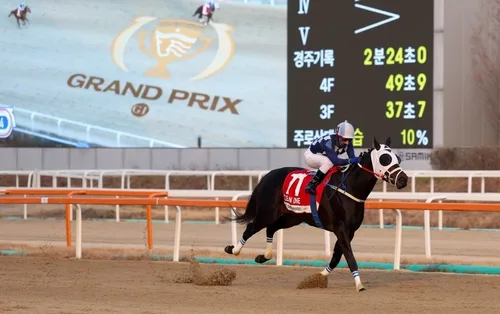 한국경마 최고 권위 코리아컵, 6일 개막…국내외 명마 총출동