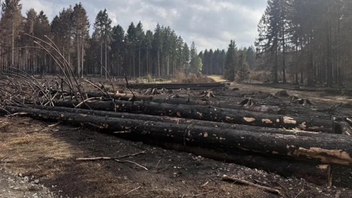 Nordrhein-Westfalen: Waldbrand in Hürtgenwald bei Aachen endgültig gelöscht