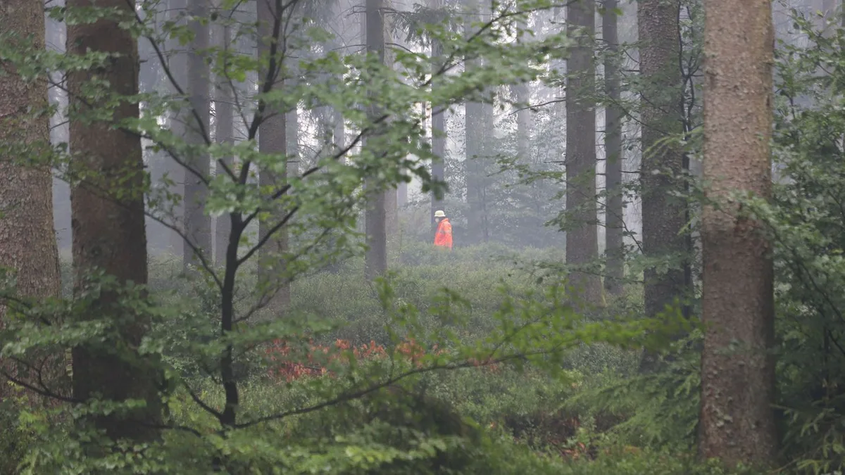 Naturschutzgebiet in Flammen: Hohes Venn: Schneisen sollen Deutschland vor Feuer schützen