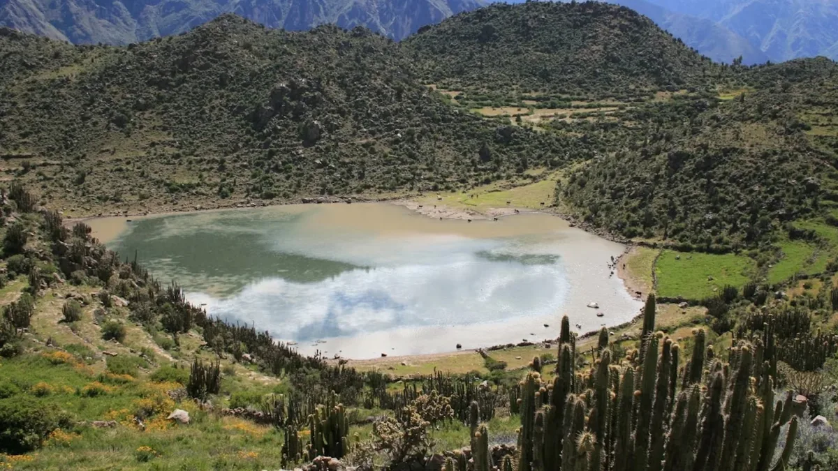 Valle del Colca: tres nuevas rutas turísticas podrán visitarse gratis este fin de semana