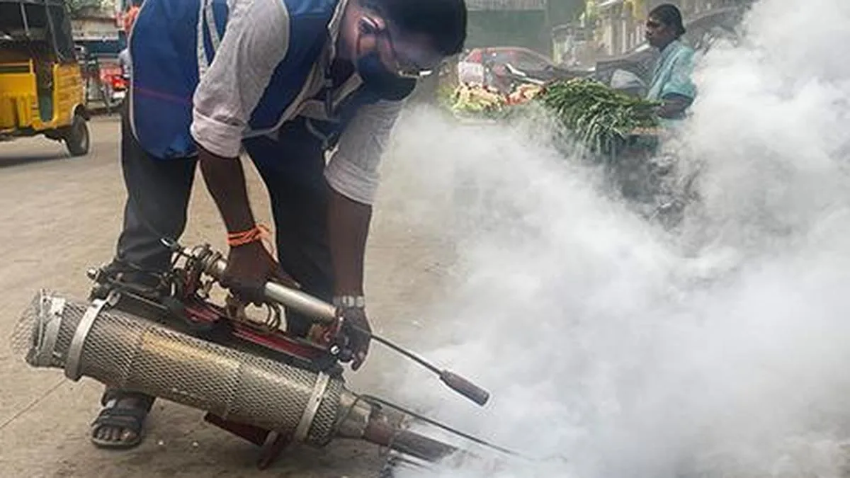 Councillors complain about a rise in dengue cases