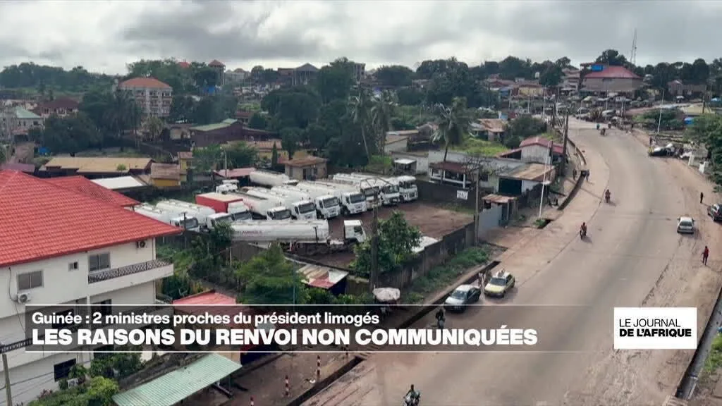 Guinée, deux ministres considérés comme proche du président limogés