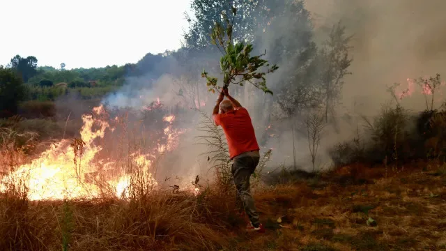 Sete concelhos de Bragança, Castelo Branco e Guarda em perigo máximo