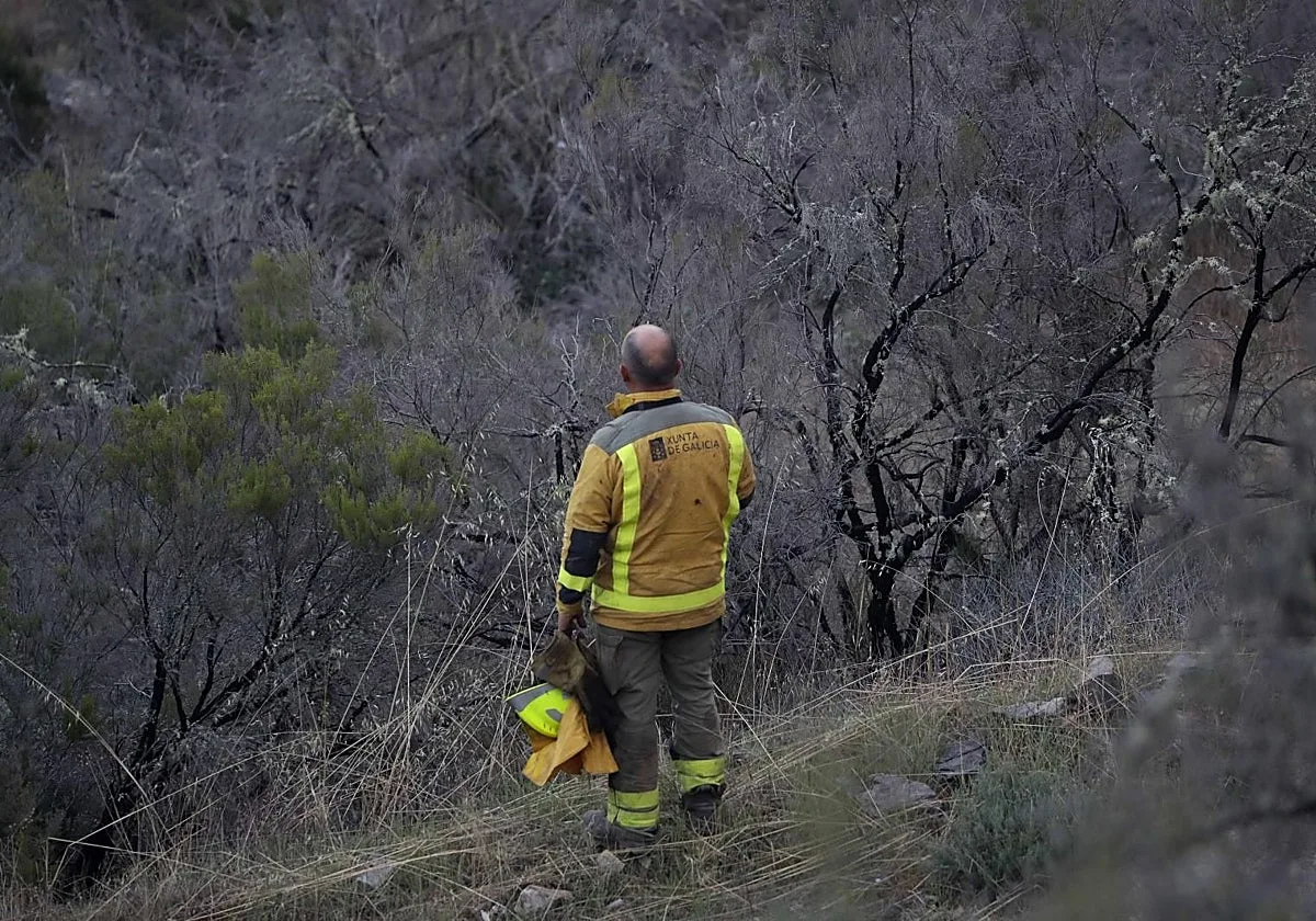 La nueva ley gallega antiincendios dará un giro a la prevención con medidas adaptadas a cada zona