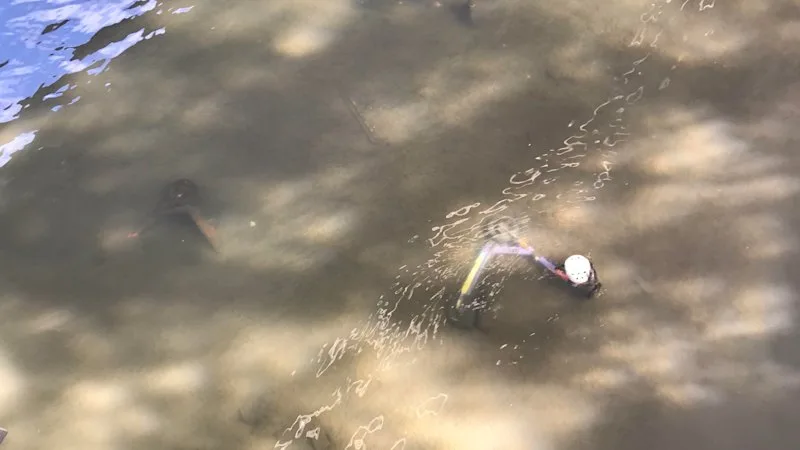Search on for group who hurled 16 e-scooters into river in late-night spree