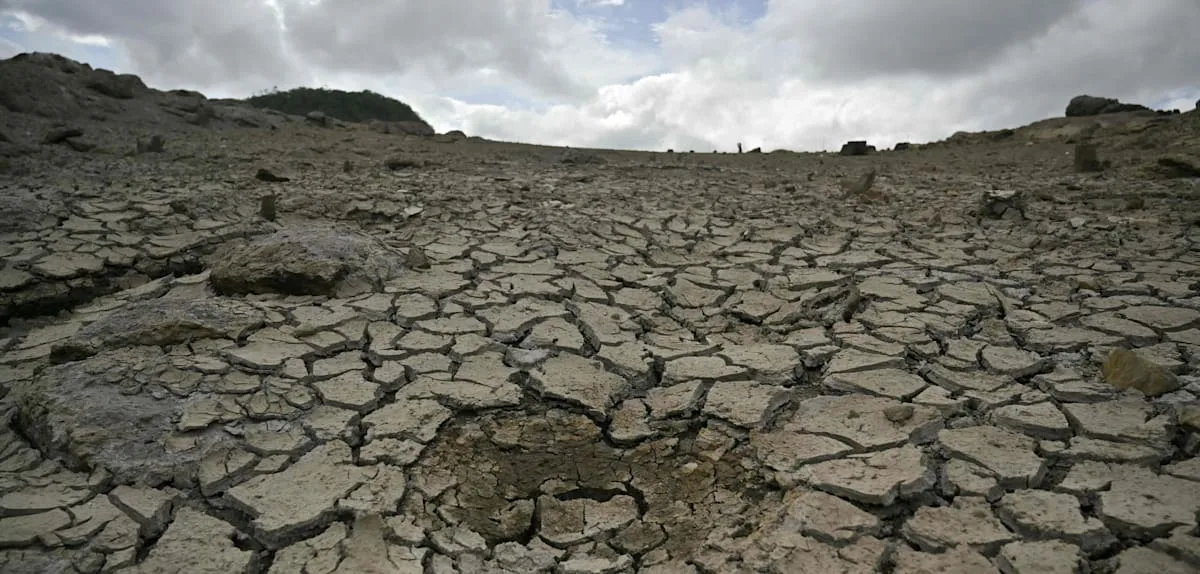 „Das ist beispiellos“ – Wetterexperte rechnet mit stärkstem El Niño seit mehr als hundert Jahren