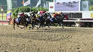Conozca al nuevo producto del campeón semental King Seraf en La Rinconada