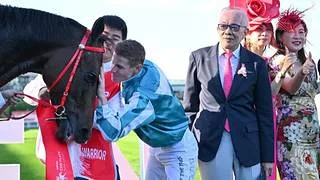 Dueño de Romantic Warrior decidirá la semana que viene futuro del ejemplar