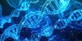 Corrigen con edición genética un error oculto en el ADN que impide producir una proteína esencial