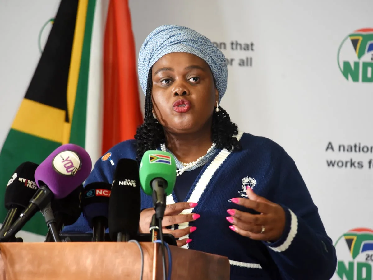 Kubayi in talks on reversing Pretoria high court jurisdiction move