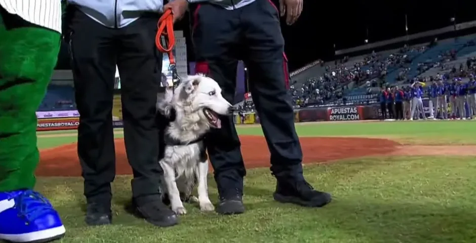Tsunami, el invitado de honor en inauguración de la temporada LVBP 2026-2027