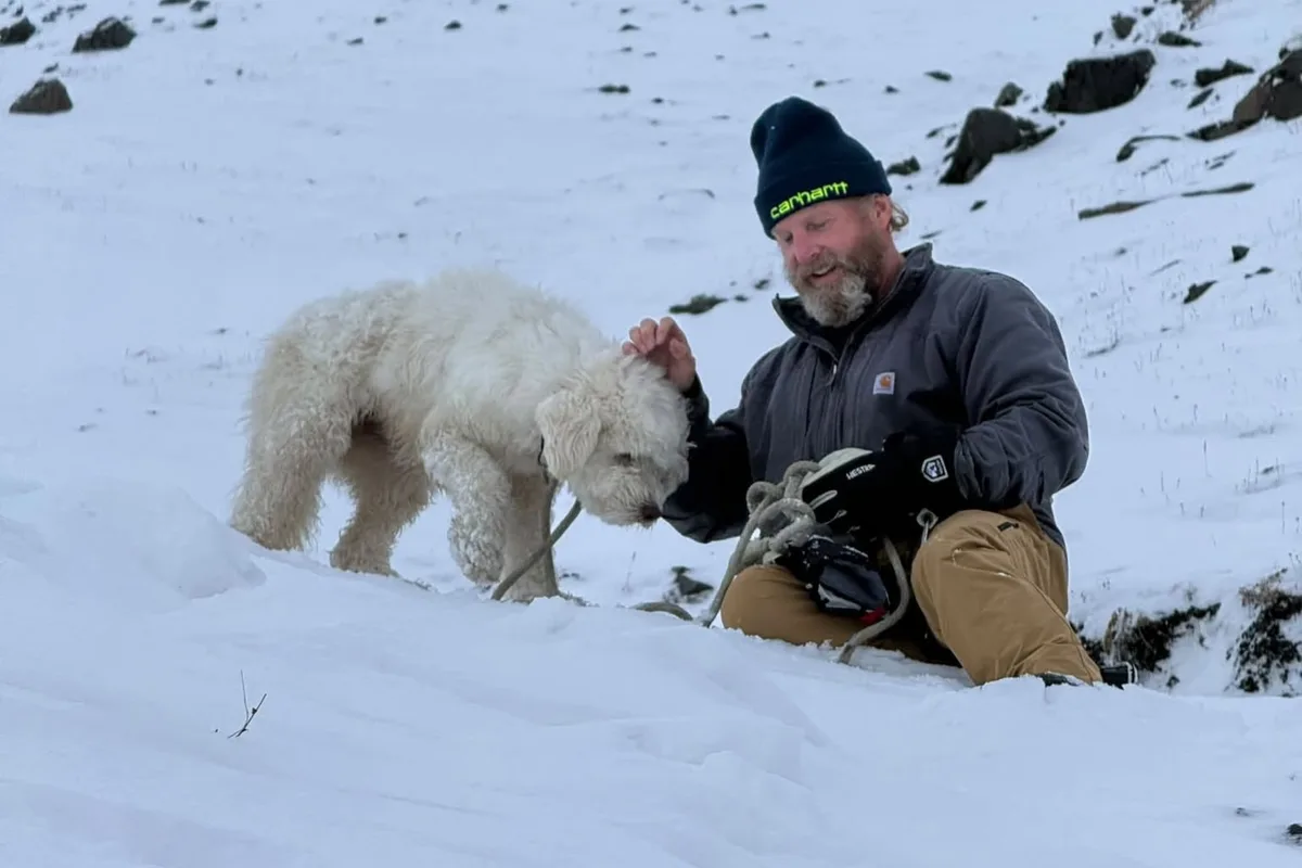 Una perra sobrevivió más de 50 horas perdida en Alaska tras una avalancha y un AirTag ayudó a encontrarla