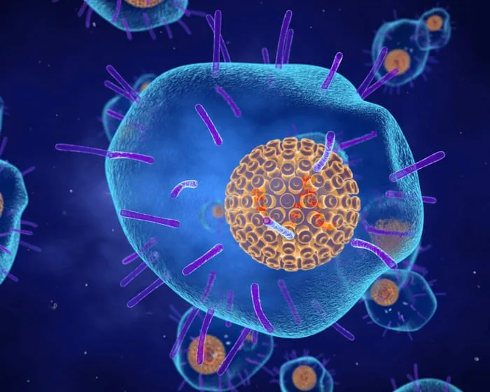 Shingles vaccine linked to lower risk of heart attack and stroke, study finds