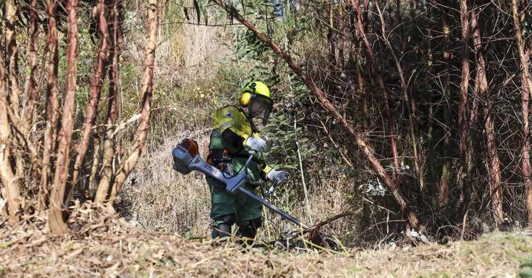 Proteção Civil alerta para risco de queimas