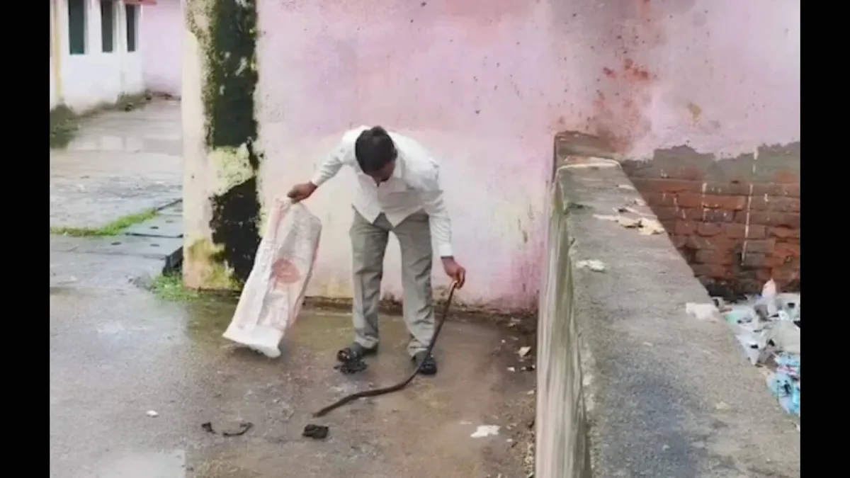 UP man bitten by 5-ft snake kills it, then walks into hospital carrying it in bag