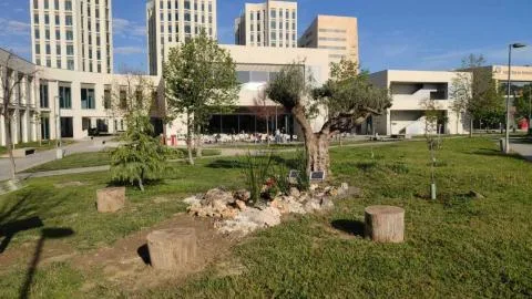 Consternación en Andalucía por el asesinato de una estudiante de la Universidad de Granada en México
