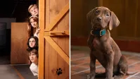 Série “Scooby-Doo: A Origem” tem gravações encerradas, anuncia Netflix