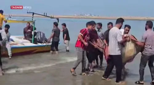 이란 매체 "미군 드론, 어선 공격해 3명 부상"