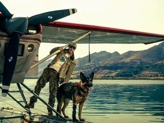 « Heart of The Beast » avec Brad Pitt : hommage aux chiens de combat, dans une intrigue sous-exploitée