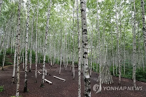 강원 흐리고 5∼40㎜ 비…낮 최고 27도