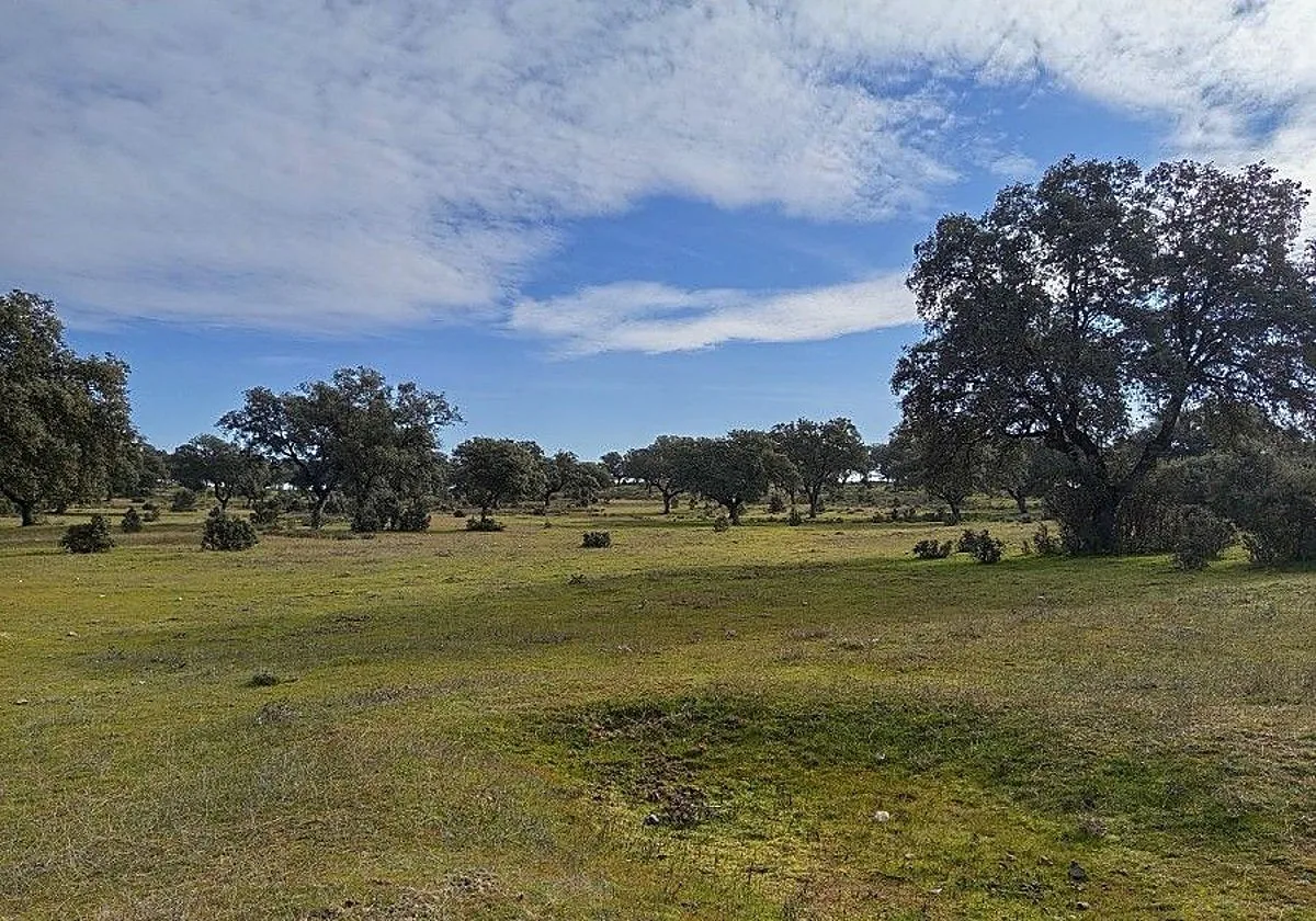 La Diputación de Toledo ultima un proyecto de turismo de naturaleza para la Campana de Oropesa