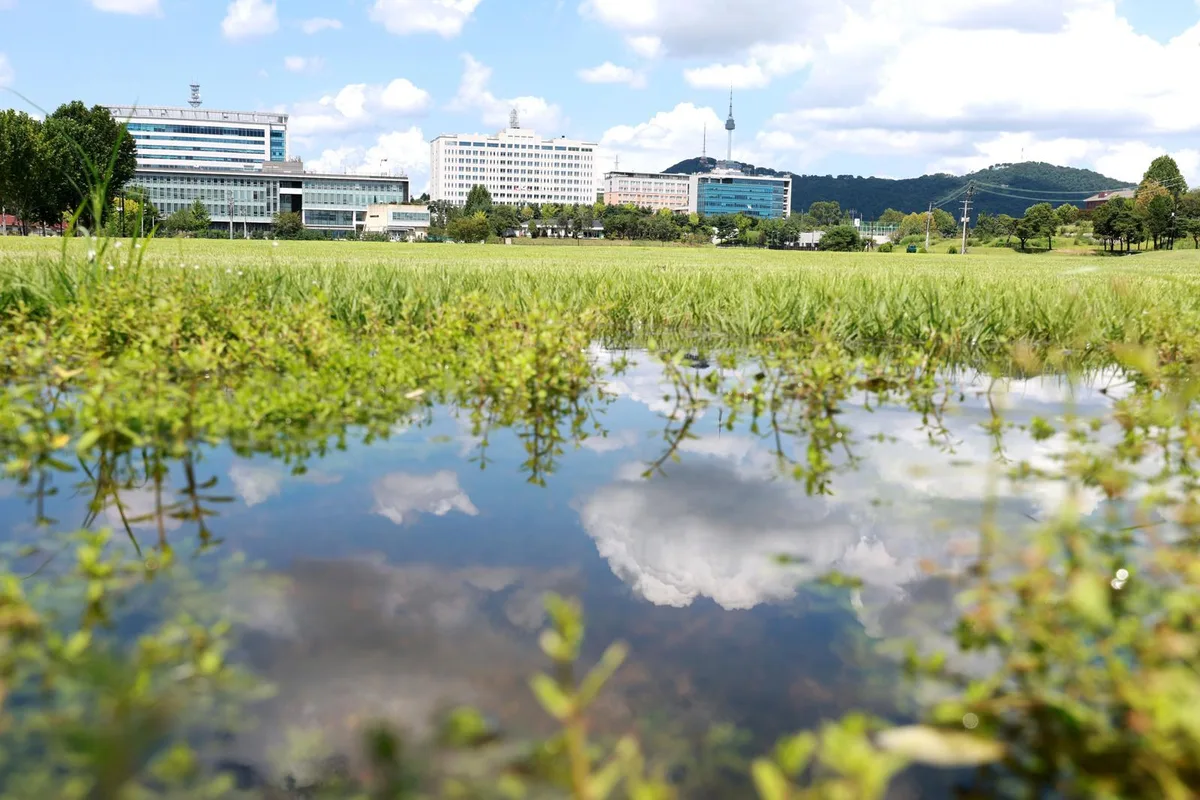 [단독]정부 주택공급 추진 용산공원, 환경평가선 전체가 ‘보호대상’