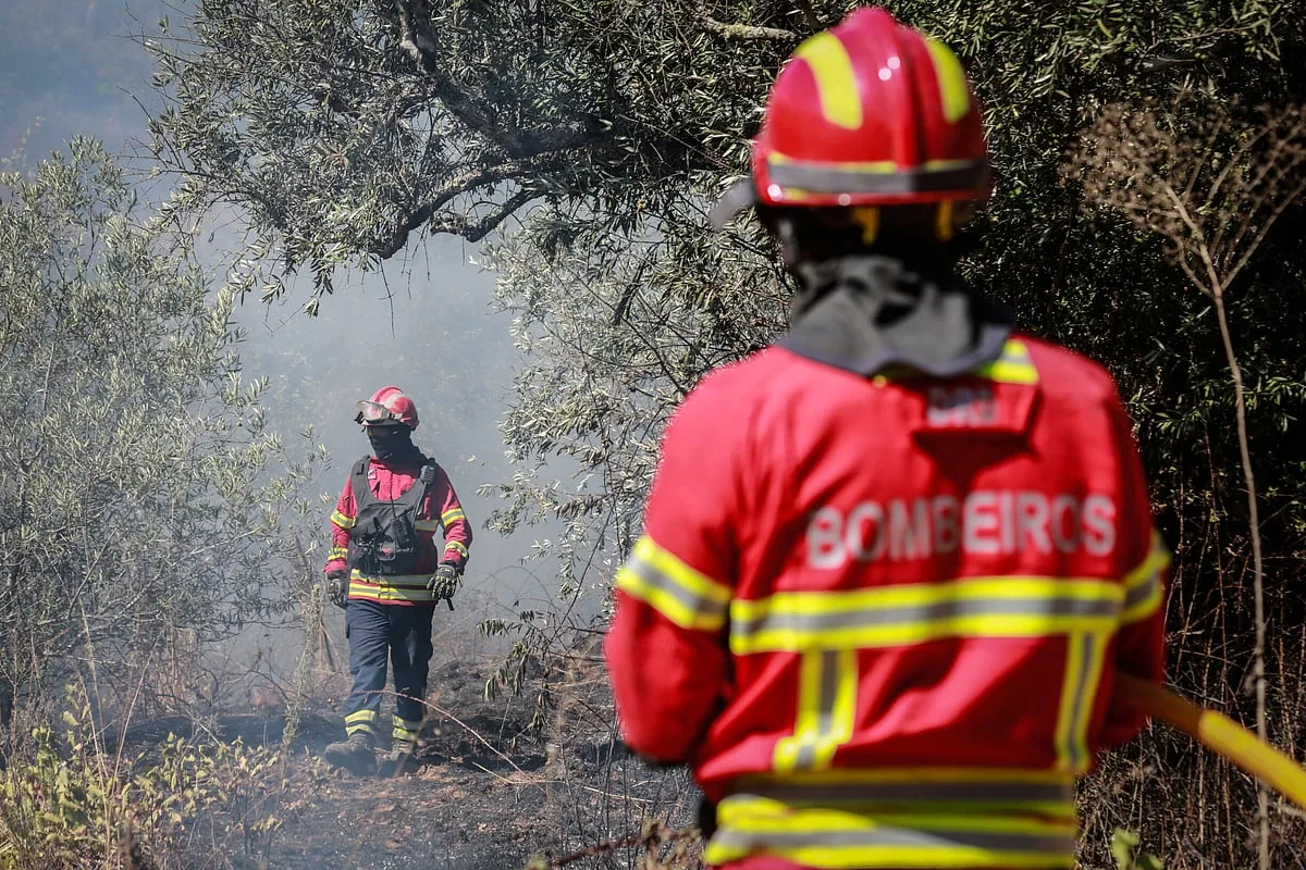 Incêndio em Valongo. Quatro feridos, entre os quais dois bombeiros, um com gravidade, e casas em risco