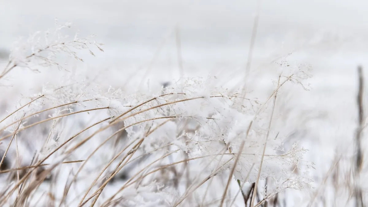 Experten rätseln - Bringt der Oktober schon den ersten Schnee?