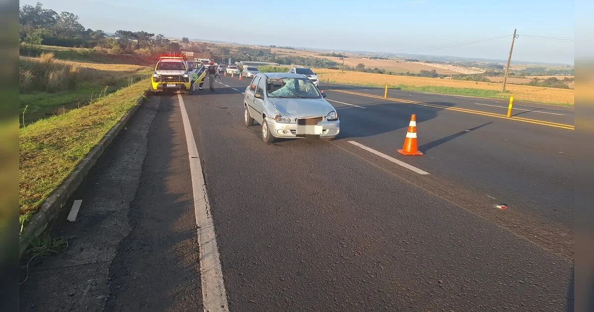 Ciclista fica ferido após ser atingido por carro na PR-444 em Arapongas
